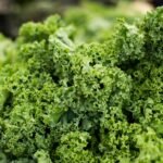 macro shot photography of lettuce